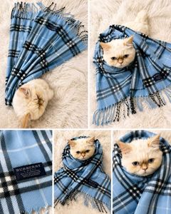 Burberry Plaid Scarf