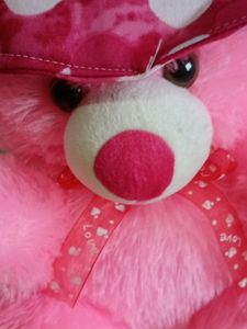 Soft Pink Teddy🧸