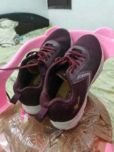 Maroon Sparx Sports Shoes