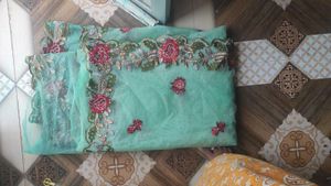 Beautiful mint green net  embroidered saree