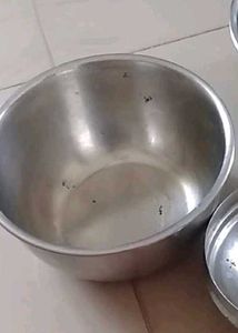 Stainless Steel Casserole Dish