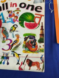 Jumbo All in One &amp; Domestic Animals Books