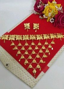 Exquisite Gold-Plated Necklace and Earring Set