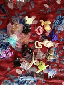 Assorted Hair Claw Clips Set