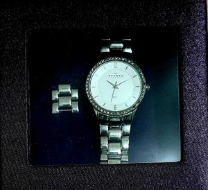 Skagen Denmark Women's Watch Steel
