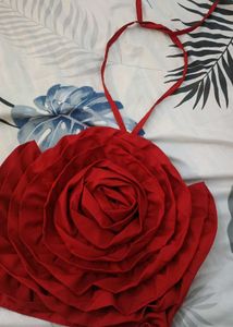 Red Rose Embellished Crop Top