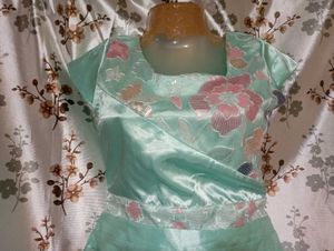 Beautiful Mint Green Ethnic Gown