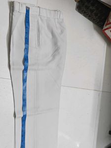 Classic Beige Pleated Trousers