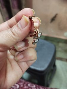 Anti Ternish Earings
