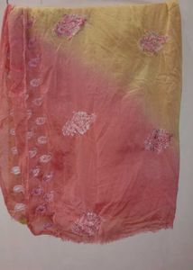 Embroidered Ombre duppata