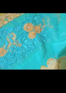 Exquisite Blue Saree with Golden Embroidery