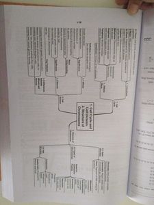 ICSE Competency Focused Questions Class 10
