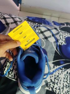Brand New Badminton Shoes Uk05