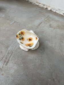 original Seashell jewellery Dish