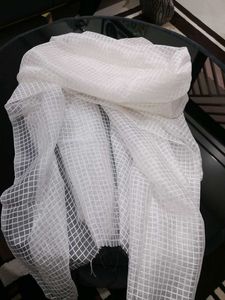 Elegant White Net Dupatta