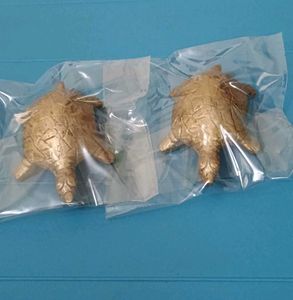 Pair of Lucky Brass Tortoise