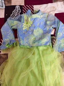 Stunning Blue &amp; Green Lehenga Choli