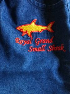 Boys Denim Shorts with Shark Print