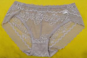 2012 -- Transparent Lace Trim panty
