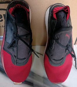 Puma Red & Black Sport Shoes