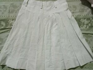 Pleated Skirt