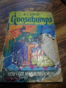 Goose Bumps