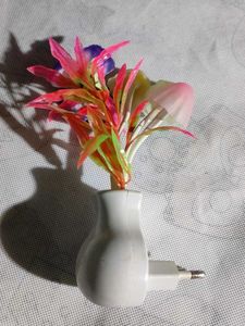 Chinese Night Bulb...