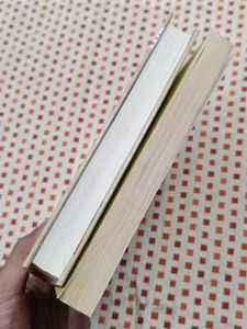 Salman Rushdie Book Bundle