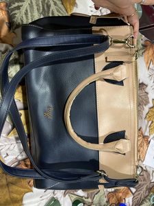 Baggit Handbag 👜