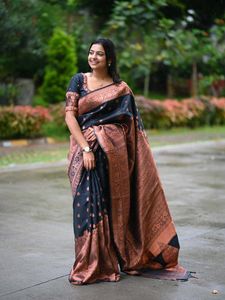 Elegant Black &amp; Copper Saree