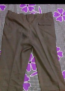 Men's Brown Straight Fit Pants