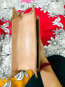 Allen Solly Nude Bag