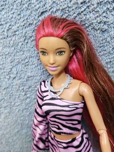 Barbie Doll with Pink Zebra Print Outfit