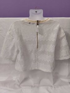 Sheer White Lace Cropped Top