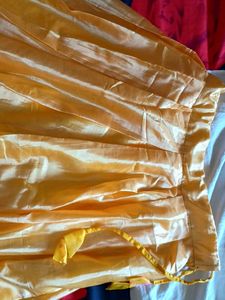 Golden Ethnic Skirt with Red Border