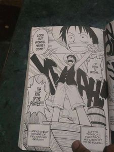 One Piece Manga Volume 1