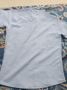 Half Sleeves Brand New 42 Size Sky Blue Shirt