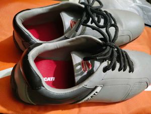Original Ducati Shoes With Box