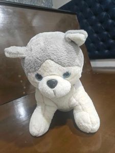 Husky plushy