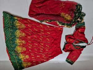 Red Embroidered Lehenga Choli