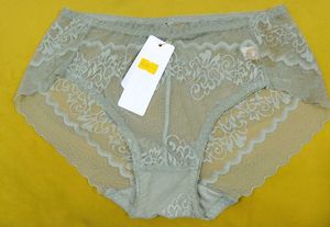2012 -- Transparent Lace Trim panty