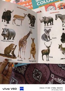 Set of 7 Early Learning Picture Books