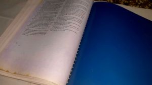 Textbook of Pedodontics 2nd Edition