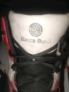 Orginal Bacca Bucci Stylish Shoes
