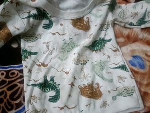 Dino Print Pajama Set