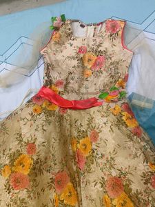 Floral Print Occasion Dress
