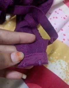 Purple Embroidered Bra
