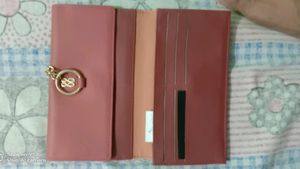 Baggit Brand Clutch