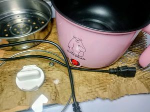 Portable Electric Cooking Pot