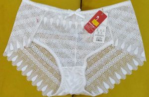 2013 -- Lace Trimmed transparent Panty